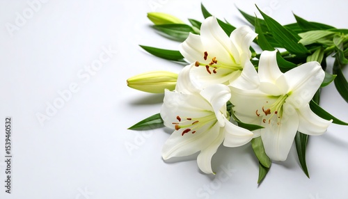 White lilies bouquet with closeup.