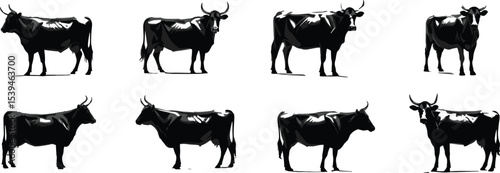  Various Cattle and Cow Silhouettes, Including Bulls and Calves, Ideal for Farm, Agriculture, and Livestock Designs