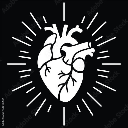 Anatomical Heart Illustration with Blood Vessels