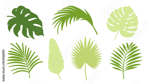 Set of colourful tropical palm leaves vector