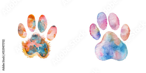 cat paw footprint watercolor vector illustration