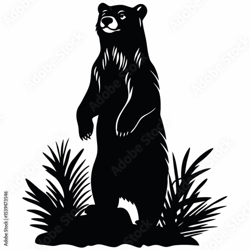 Bear silhouette standing on hind legs in wilderness setting