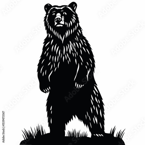 Bear silhouette standing on hind legs in wilderness setting