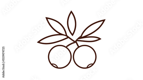Elegant Line Art: Twin Berries & Branch