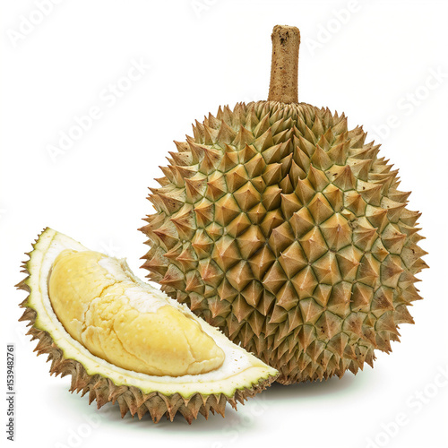 Durian fruit displays its thorny husk and creamy interior in a close up view against white