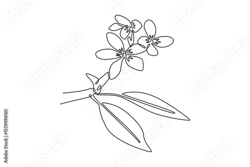 Floral with branch concept. Single line draw design. Vector graphic illustration