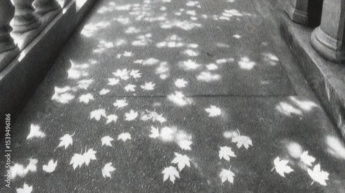 Sunlit Autumn Leaves on Stone Pathway