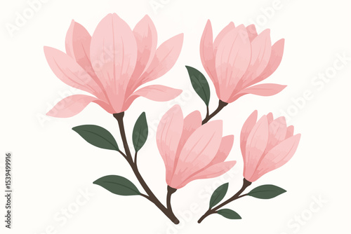 Illustration of four pink magnolia flowers with green leaves on brown stems against a white background