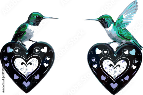 two birds with heart