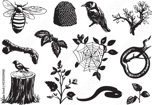 set of vector elements for design, vector, flower, design, illustration, floral, set, leaf, silhouette, nature, plant, pattern, decoration, black, art, icon, ornament, element, tree, symbol, tattoo, f