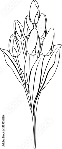 Tulip Coloring Pages