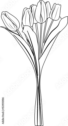 Tulip Coloring Pages
