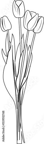 Tulip Coloring Pages