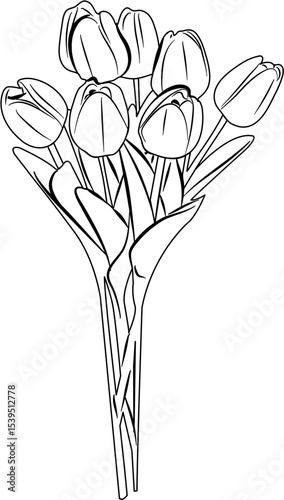Tulip Coloring Pages