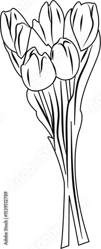 Tulip Coloring Pages