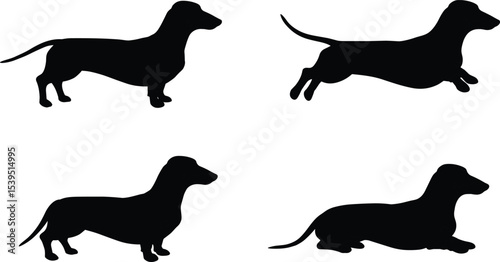 Dachshund dog silhouette vector, jumping running standing sitting poses, black dachshund icon set, pet illustration, animal graphic design element