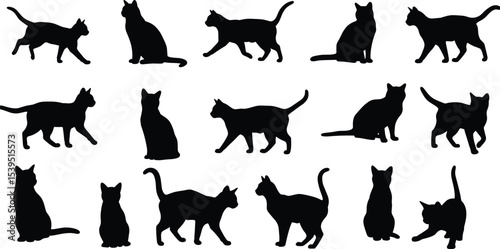 Black cat silhouettes collection, walking and sitting cat poses, vector feline graphic, domestic pet animal icons, editable cat illustration design