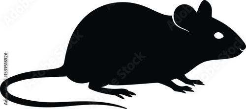 Vector illustration of black mouse silhouette with tail, cartoon rat icon, rodent shape, pest animal design, isolated wildlife symbol for logo or print