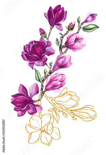Wallpaper Mural Magnolia pink and gold flower isolated on white. Watercolor botanical magnolia illustration. Illustration for design cards, invitations and branding. Tropical plant magnolia Torontodigital.ca