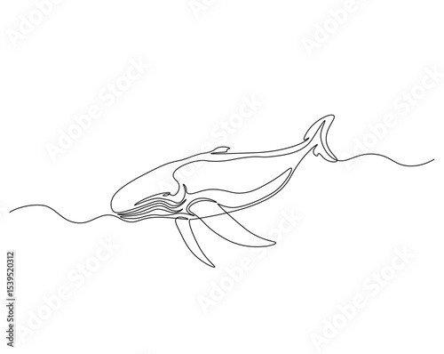 Humpback in the ocean outline drawing illustration. one continuous line drawing of humpback whale.