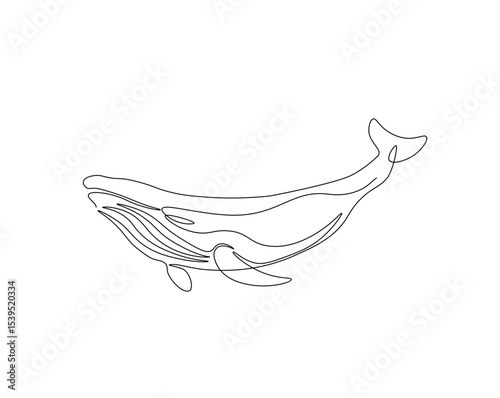 Humpback in the ocean outline drawing illustration. one continuous line drawing of humpback whale.