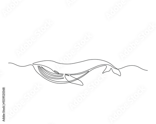 Humpback in the ocean outline drawing illustration. one continuous line drawing of humpback whale.