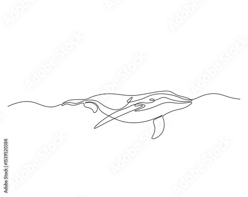 Humpback in the ocean outline drawing illustration. one continuous line drawing of humpback whale.
