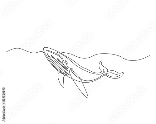 Humpback in the ocean outline drawing illustration. one continuous line drawing of humpback whale.