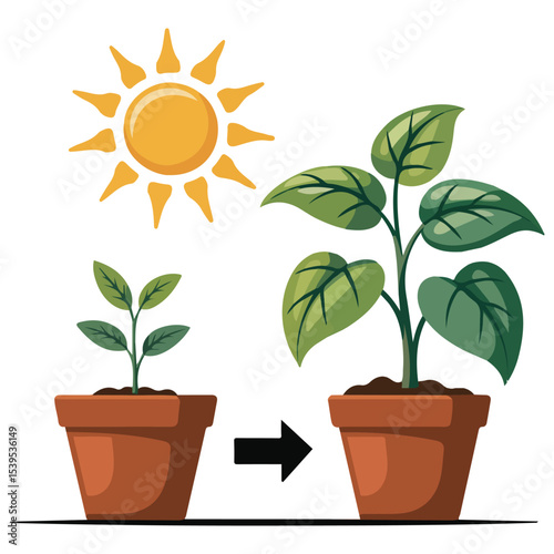 plant movement in response to light isolated vector illustration