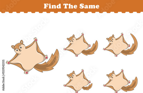Funny cartoon Flying squirrels. Find same pictures. Educational game for children. Cartoon vector illustration