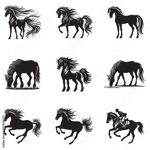 bundle of black horse Silhouette clipart, domestical nature horse graphic Vector, Cute and stylish Horse lover design sublimation 
