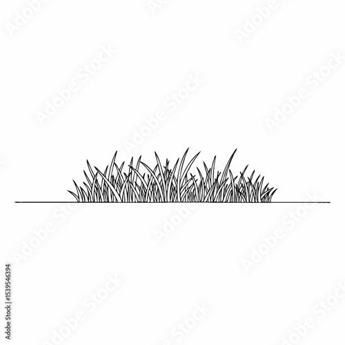 Outline of grass