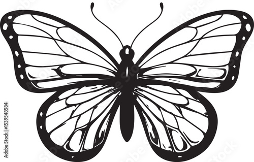 Elegant Butterfly Outline - Intricate Insect Line Art