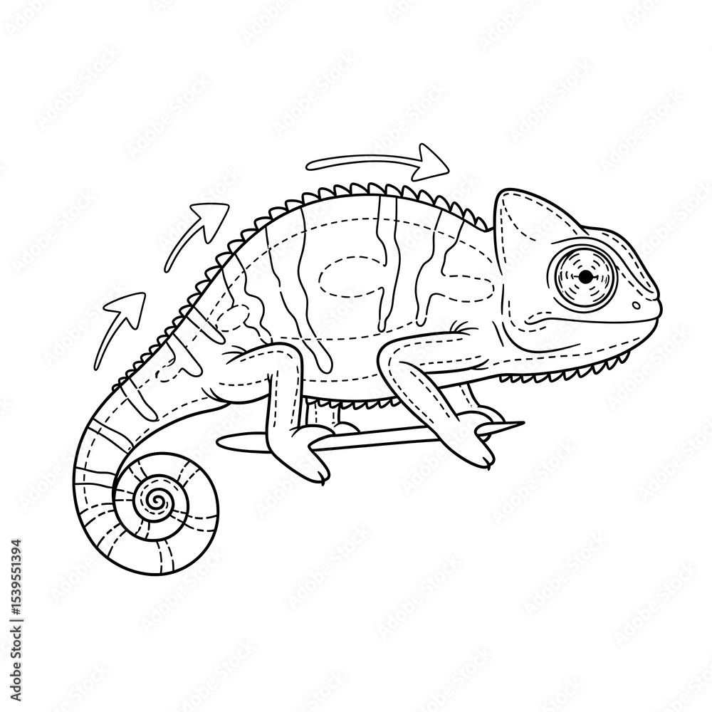 Obraz premium Chameleon drawing outline illustration vector image for coloring book and education use on transparent background