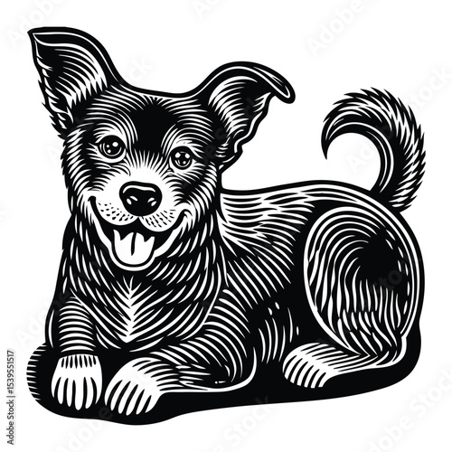 Cute dogs border set. Funny dog best friends. Happy friendship day. Vector illustration isolated on white background