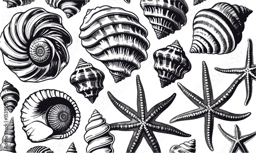  scalable vector illustration featuring a diverse collection of seashells and starfish, shell types—spiraled conchs, scalloped bivalves, and ridged clam shells, easily editable and scalable.