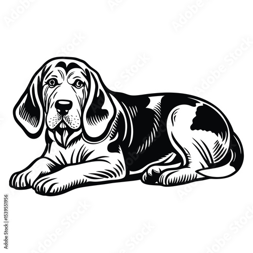 Print Digestio of dog, line icon. Canine esophagus, stomach, intestine. Veterinary, dog anatomy, canine surgery, first aid, vet clinic, emergency. Linear illustration, editable strokes, vector pictogr