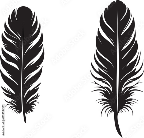 Collection of elegant black feather silhouettes vector on white background