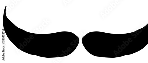 Moustache trendy styles. Mustache curly horseshoe imperial pencil english pyramid italian and vintage narrow french walrus brush male hipster modern fashion. Chevron vector.