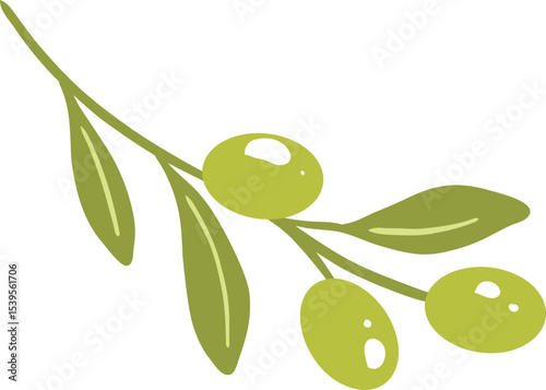 Illustration of Olive Branch with Green Olives