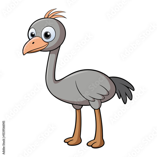Set of cartoon ostrich emu bird  vector illustration design