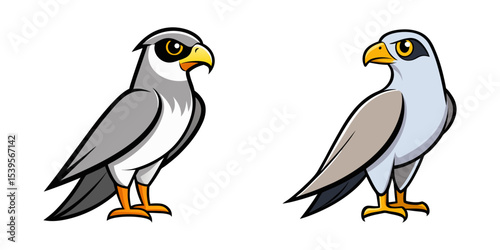 Set of falcon bird vector illustration design