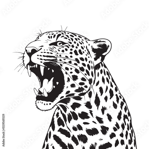 Aggressive roaring leopard head black and white illustration