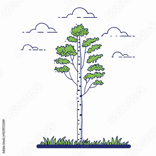 a lonely birch tree is reflected in the river