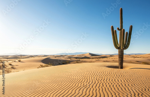 A desert landscape with a single cactus and wide horizon. Cactus in the desert, Travel, fun, park, amusement, vacations, summer, entertainment, and enjoyment theme. Beautiful backdrop and background. photo