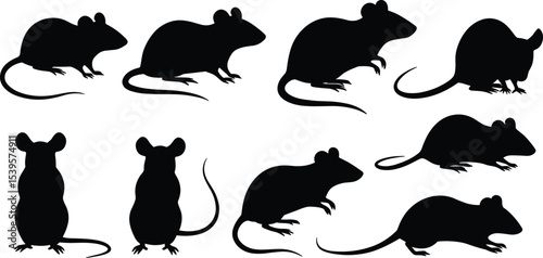 Mouse silhouette vector illustration, rat clipart set, rodent animal icon, pest black shape, cartoon mouse design, wildlife symbol graphic
