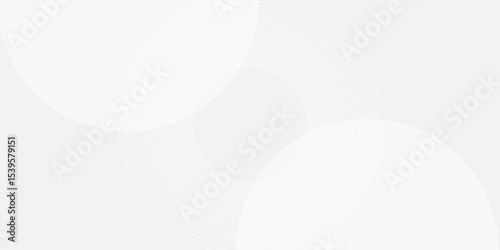 White geometric abstract background overlap layer on bright space with lines effect decoration. Modern graphic design element circles style concept for banner. vector illustration