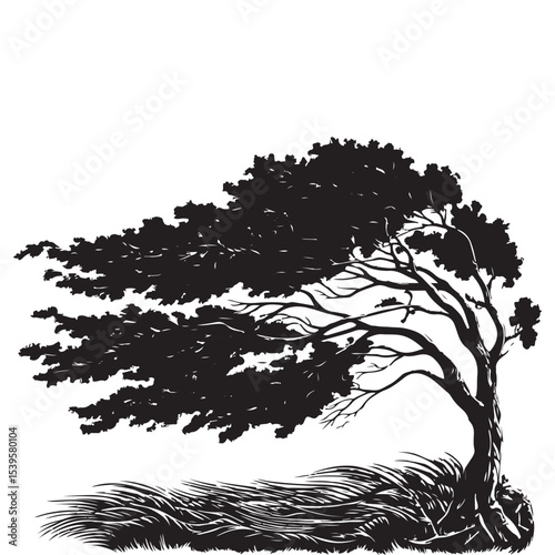 Wind-Swept Tree Silhouette