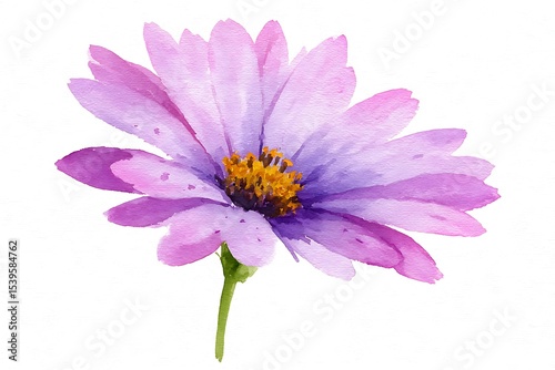 A dreamy pink and purple petals. watercolor style , isolated white background