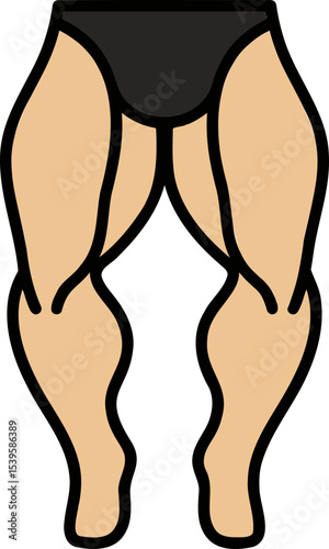 다리 근육